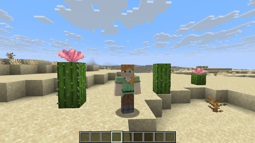 Standing between towering cacti stalks crowned with vibrant pink cactus flowers right at world spawn