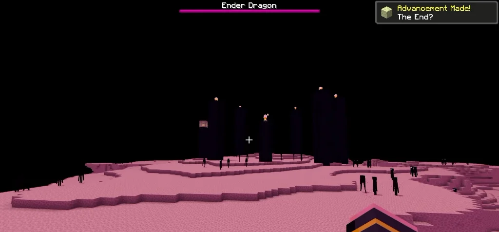 The End dimension with rare pink End stone terrain and the Ender Dragon boss bar.